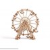Wood Trick Ferris Wheel Observation Wheel Mechanical Models 3D Wooden Puzzles DIY Toy Assembly Gears Constructor Kits for Kids Teens and Adults B06XN5TR32